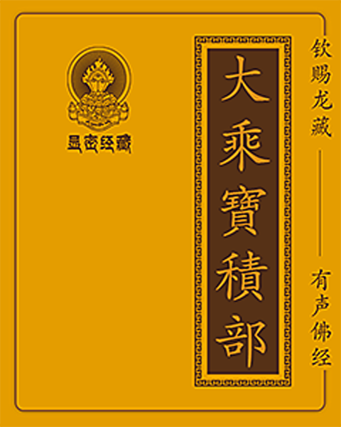 第20部 大寶積经